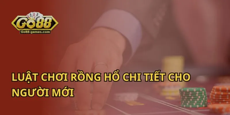 Luật Chơi Rồng Hổ Chi Tiết Cho Người Mới